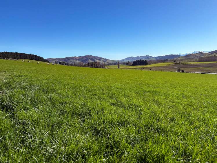 242 Caroline Valley Road Caroline_7