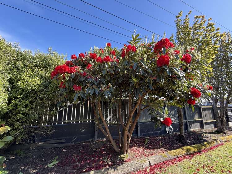 36 Frances Street Balclutha_16