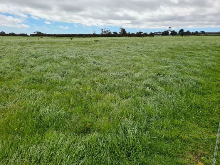 2344 Opunake Road Awatuna_3