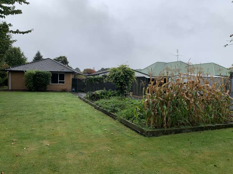 7 Cherry Lane Tinwald_14