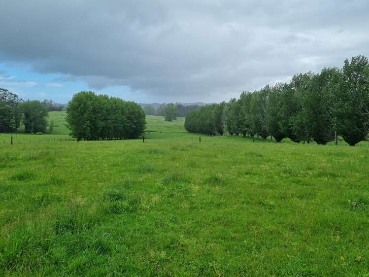 267 Ludbrook Road Pakaraka_3