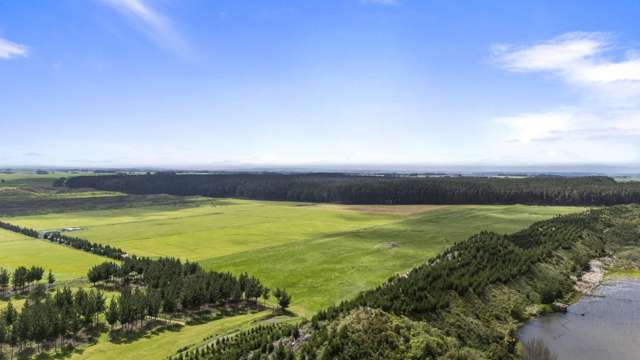 Santoft Road Bulls_1