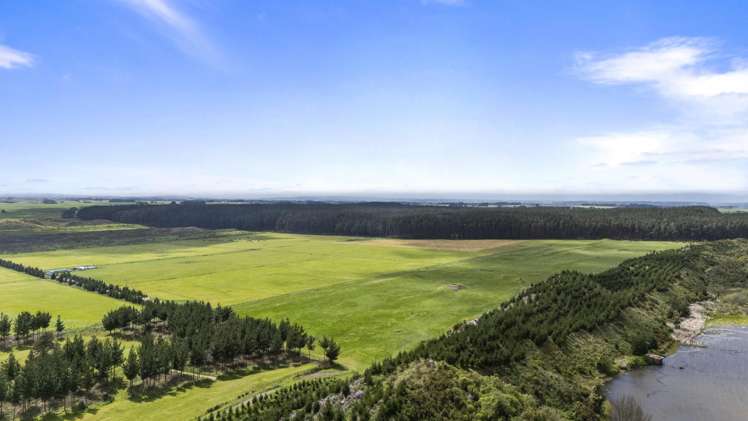 Santoft Road Bulls_1