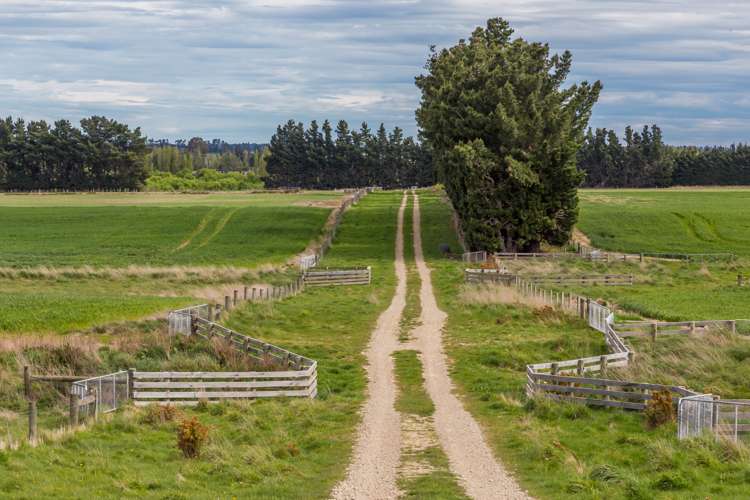 789 Downs Road Hororata_6