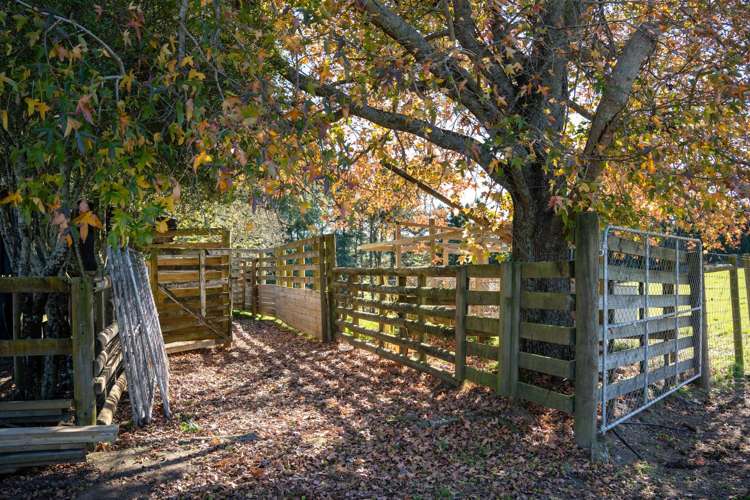 2/1873 Maungatautari Road Cambridge_9