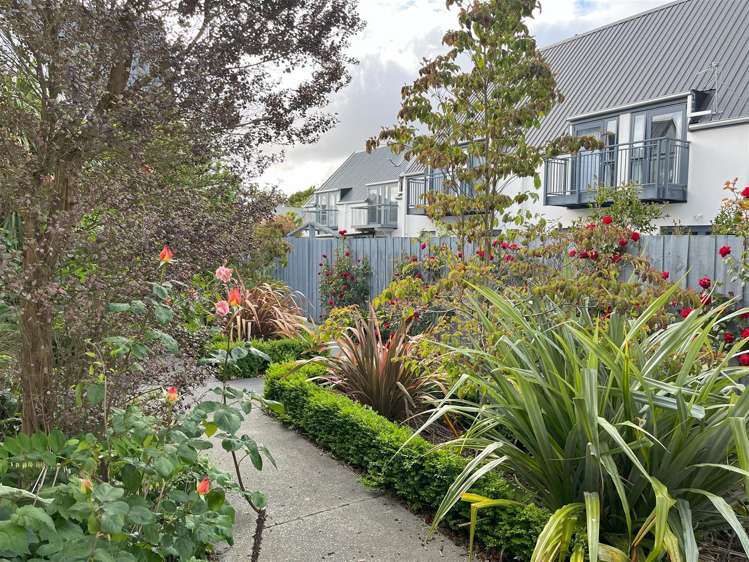 16/27 Cornwall Street Saint Albans_15