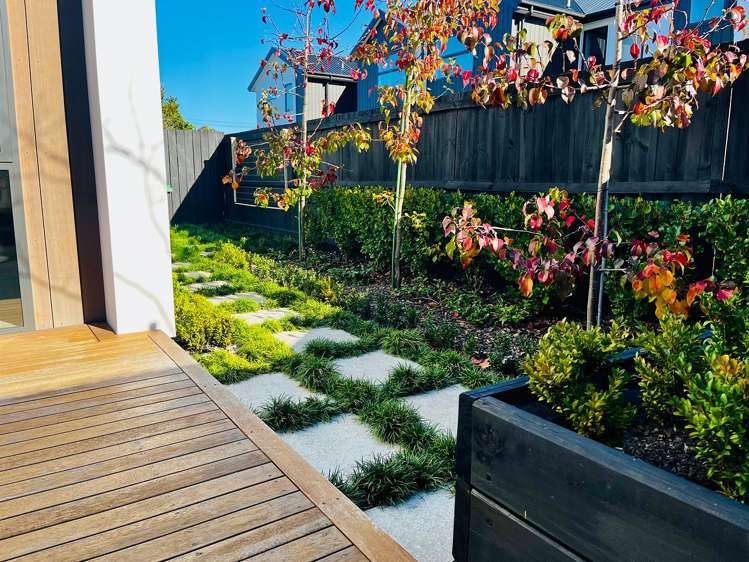 3/27 Winton Street Saint Albans_13