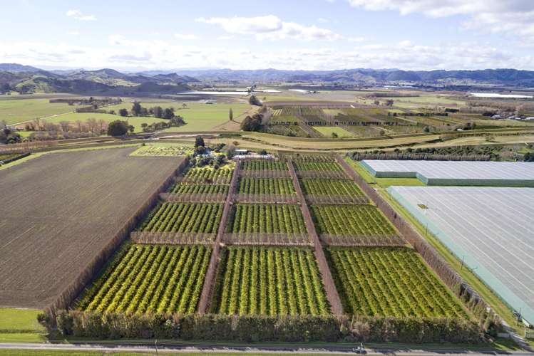 64 Cemetery Road Patutahi_6