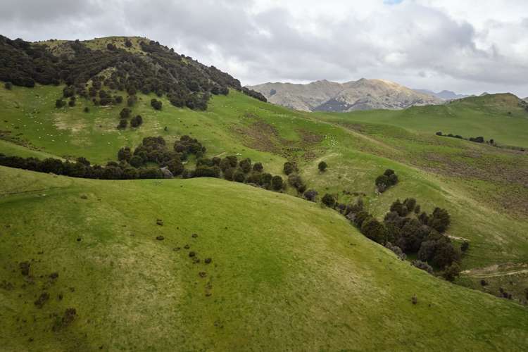 3717 Inland Kaikoura Road Mt Lyford_28