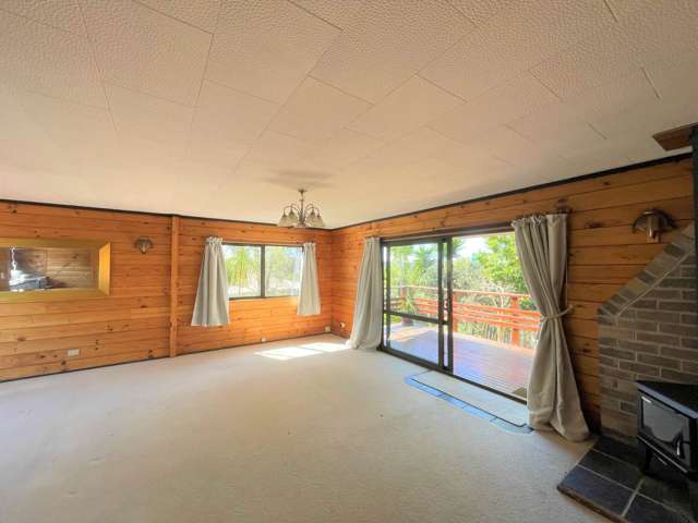 198C White Swan Road Mt Roskill_1