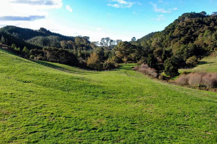 Maniatutu Road Pongakawa_4