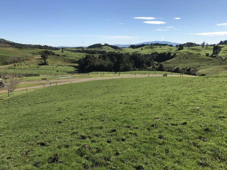 1232 Ngaroma Road Wharepuhunga_7