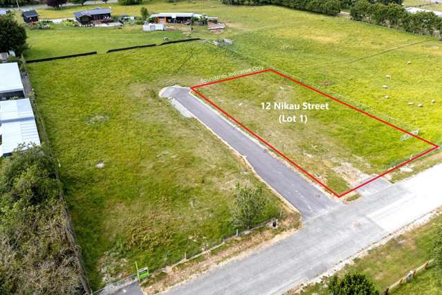 12 Nikau Street Pleasant Point_1