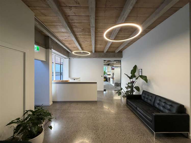 22 Dundonald Street Eden Terrace_3