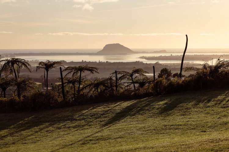 8 Pheasant Lane Te Puna_9