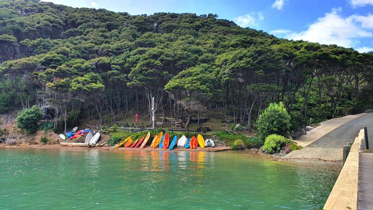 3 Hall Head Road Kawau Island_36