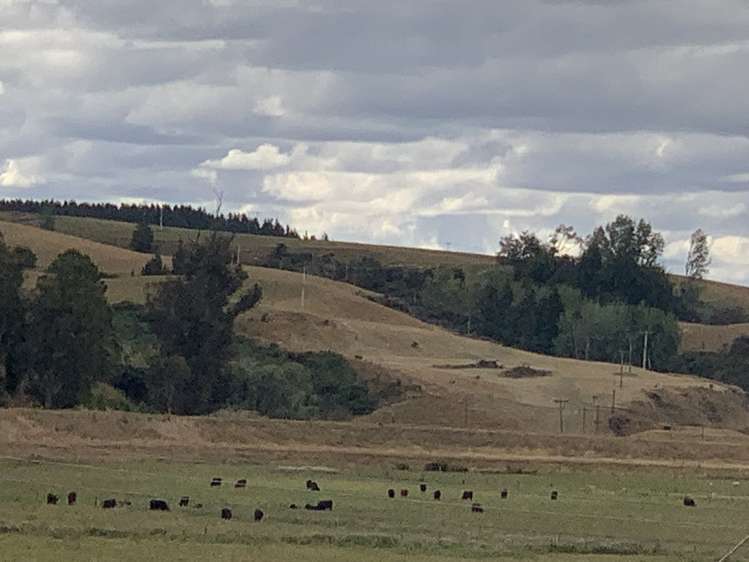 189 Clyde Street Balclutha_25