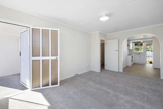 290d Carrington Street Vogeltown_2