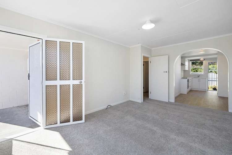 290d Carrington Street Vogeltown_2