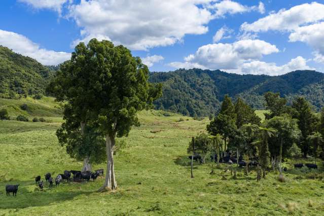 1221 Waitewhena Road Taumarunui_4