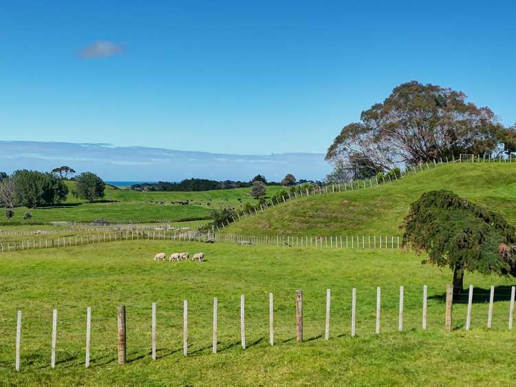 229 and 229A Tayforth Road Westmere_5