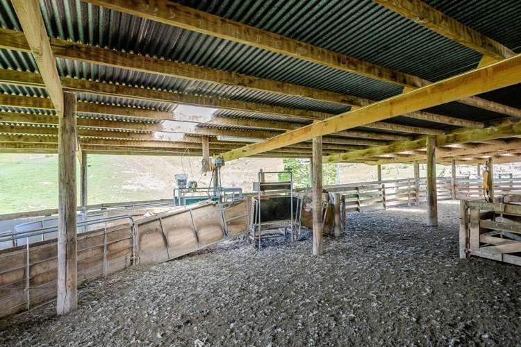 1614 Hinemoa Valley Road Pahiatua_23