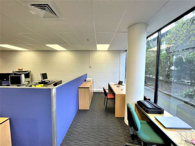 114 Dominion Road Mount Eden_4