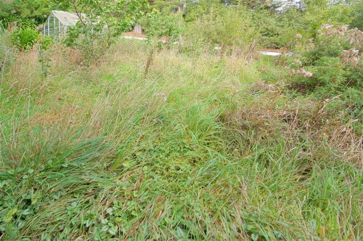 435 Cashmere Road Westmorland_3