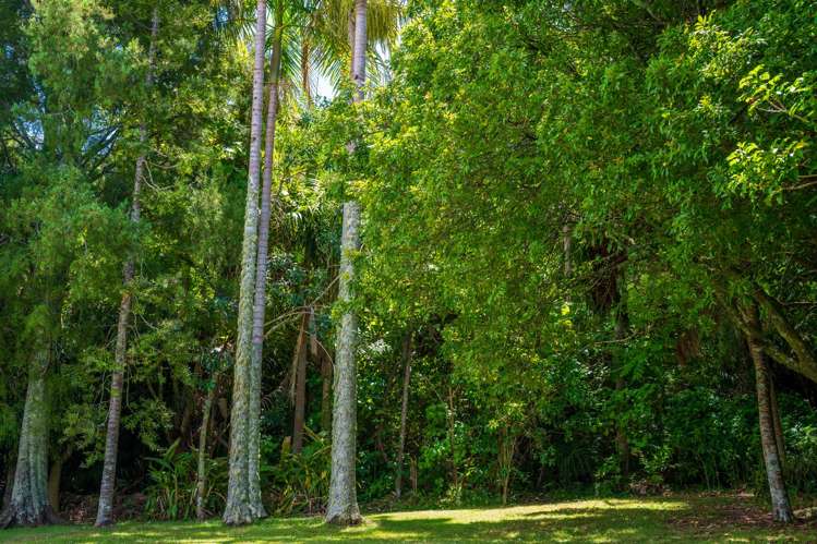 357 Whangarei Heads Road Tamaterau_21