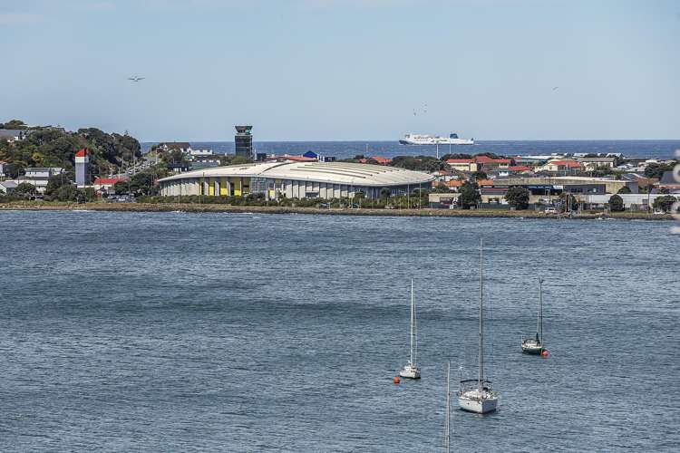 33a Treasure Grove Hataitai_5