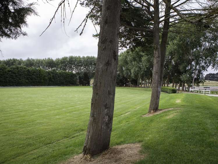 24 James Mackie Road Helensville_19