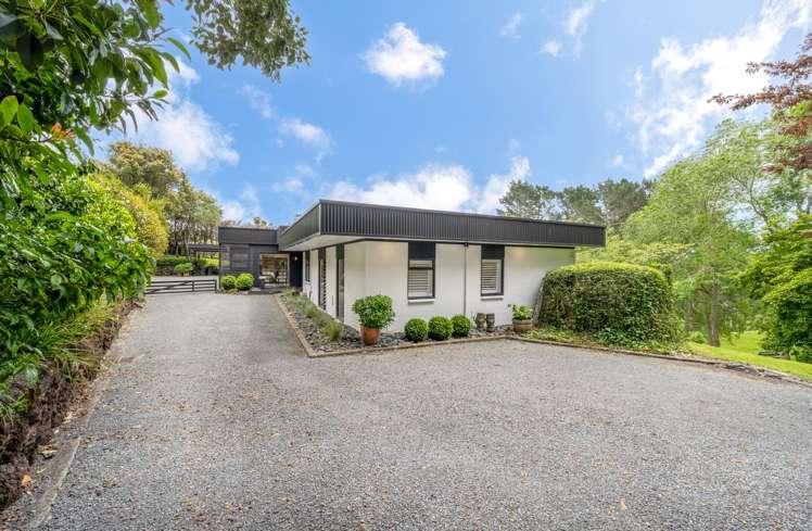 18 Ara-Kotinga Whitford_8