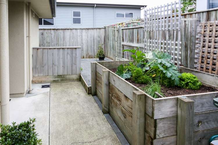 47a Russell Robertson Drive Havelock North_20