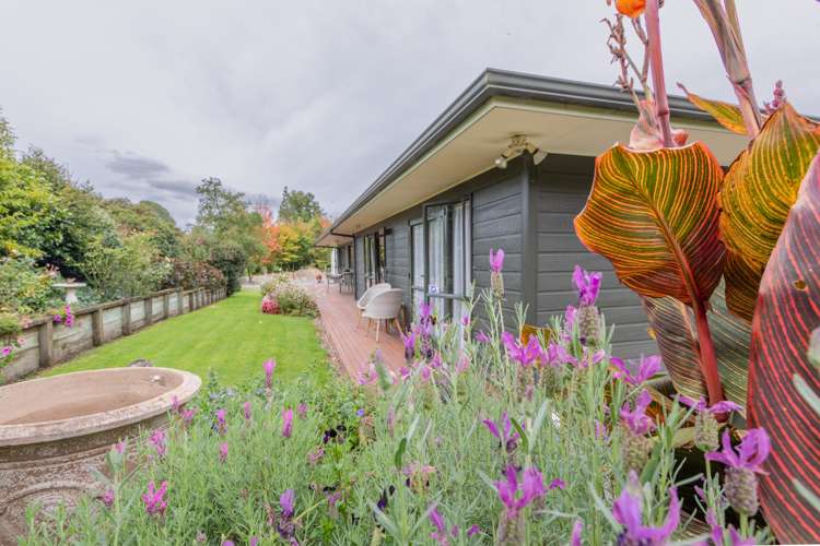 2 Petersen Place Waipukurau and Surrounds_18