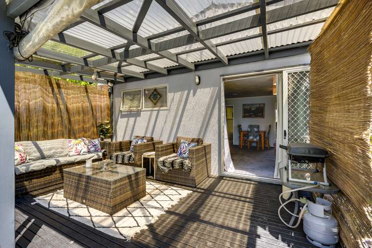 12 Winchester Place Tamatea_11