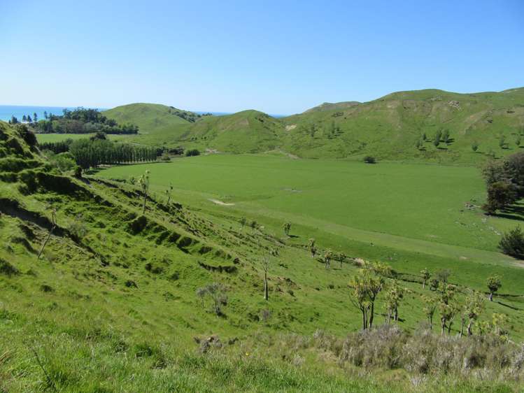 8/3382 Pourerere Road Central Hawkes Bay Coastal_12