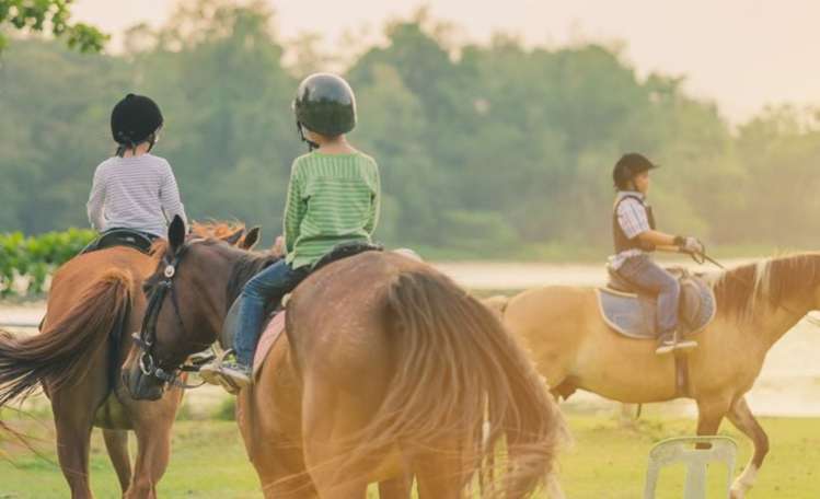 18 Croppers Road (Lot 160 Clevedon Meadows) Clevedon_21