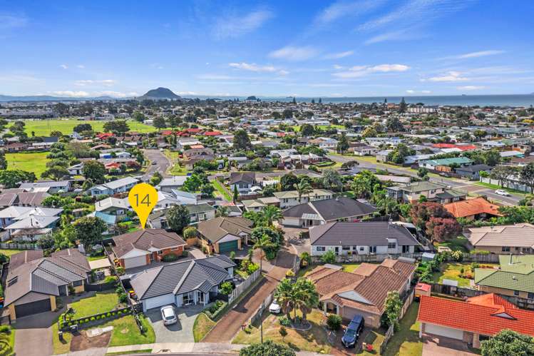14 Fahey Avenue Mount Maunganui_21