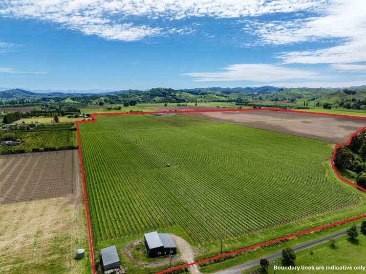 Whitmore Road Ormond_3