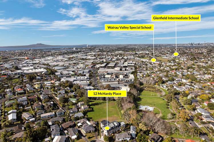 12A Mchardy Place Glenfield_44