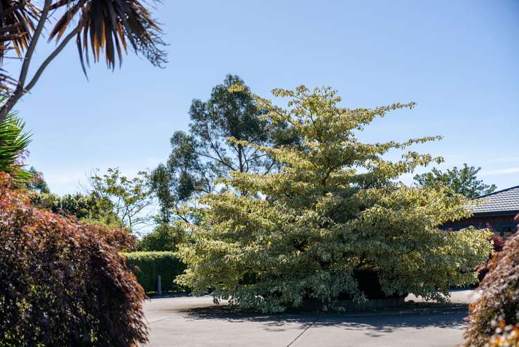 14 Luke Road Whakatane_63