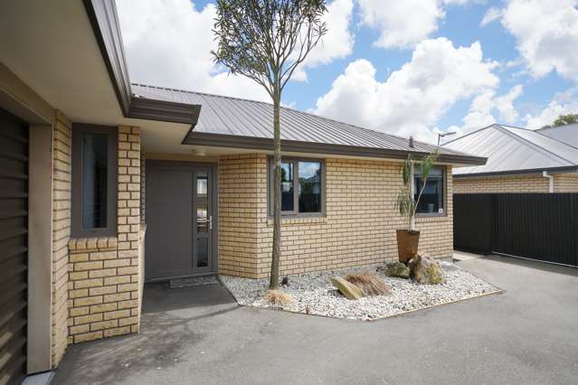 48a Middlepark Road Sockburn_1