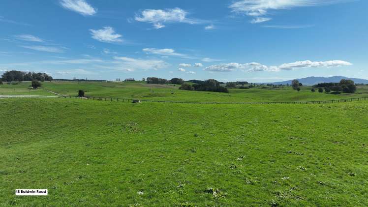 32, 40, 48 Baldwin Road Putaruru_7