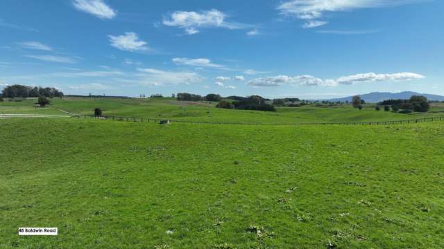 32, 48 Baldwin Road Putaruru_4