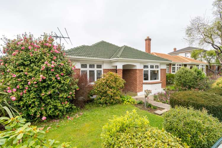 139 Forbury Road Saint Clair_13