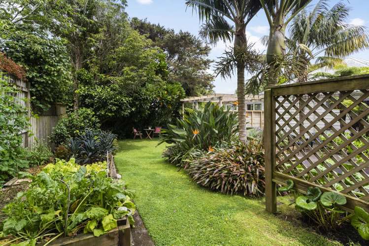 48 Oneill Street Ponsonby_7