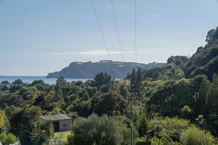 23 Ara Mata Cooks Beach_10