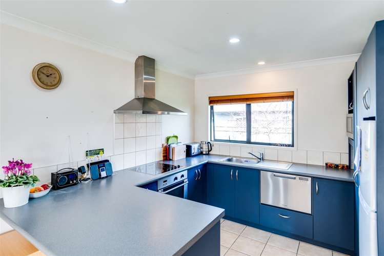141b Napier Road Havelock North_6