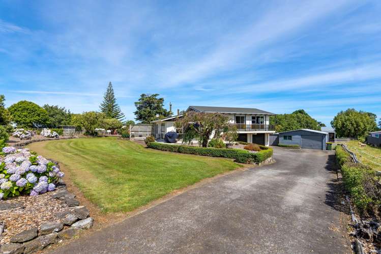 35 Weraroa Road Waverley_23