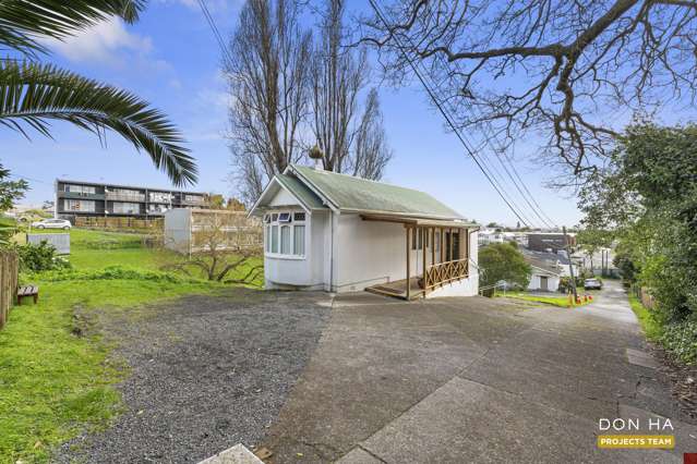 447 Dominion Road Mount Eden_3